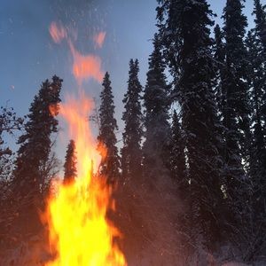 Meet your Posher, Shaylene